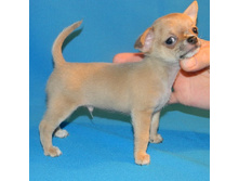 DSCN1112 - �����.JPG