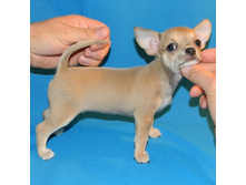 DSCN1204 - �����.JPG