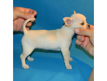 DSCN1252 - �����.JPG