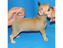 DSCN1215 - ����� .JPG