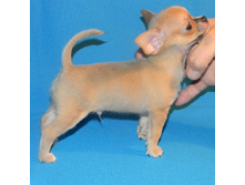 DSCN1117 - �����.JPG