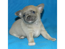 DSCN2112 - �����.JPG