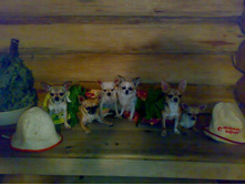 04092011731 - �����.jpg