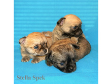 DSCN1720 - �����.JPG