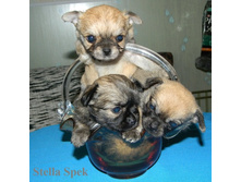 DSCN1764 - �����.JPG