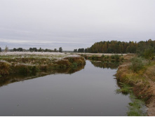 \"���� �� ����\" (�)