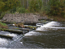 ������� ����� ���������