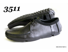 3511 ������ ������.JPG