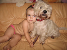 ������� � ���������