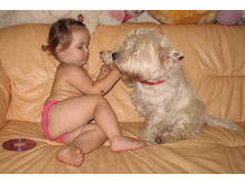 ����������-�� ��������