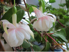 ������ \\\\\\\\��������\\\\\\\\