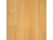 QST009 ��� �����������.578���. �� �.��.+%