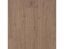 U1384 ����� ���� ������������ �������������. 708���. �� �.��.+���%