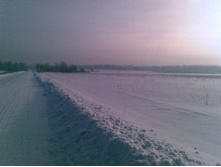 ���(8������08) - ������� ������� 