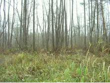 ������ ��.�������� - ��������� �����