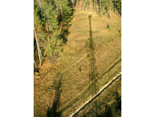 ���� �����