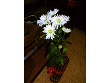 �������� �������� (1)