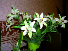 �������� �������� (2)