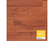 ����� ����.  553���. �� �.��.+���%