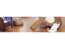 33 �����.WOODSTOCK Family.  608���. �� �.��.+���%