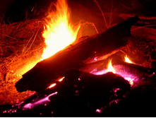 �������� ��������