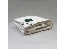 ������ ���������� ����� ��������� ������.jpg