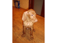 ����� �����������3.JPG