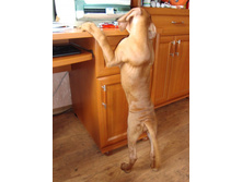 ����� �����������.JPG