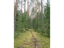 ��� ����� �� ������� � ������ �����