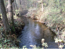 ����������� ����� �����