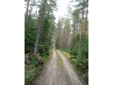 ������ � ����