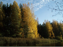 � ������