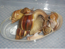 � ̣���� �����! :)