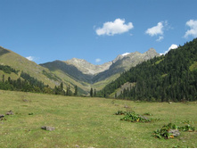 ������� �������