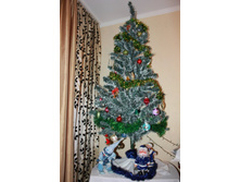 ���� 2012 001.jpg