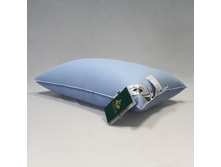 ������� ���������� �������� ������.jpg