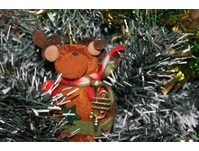 �� 9 ��� 176.jpg