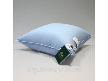 ������� ���������� �������� �������.jpg