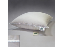 ������� ��������� ����� �������.jpg