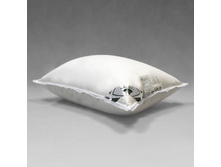 ������� ��������� ��������� ������� (������������ ��������).JPG