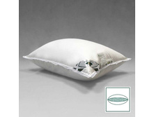 ������� ��������� ��������� ������� � ���������� �����.jpg