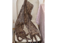 ws01 ���� "������". ���� 900 �.+10%+���������