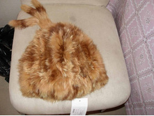 ����� �����.2��. ���� 1000 �.+10%+���������