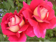 ����������