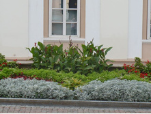 � ������ ����� �����...