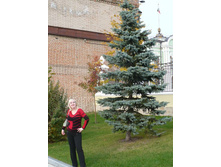 ������� ���...