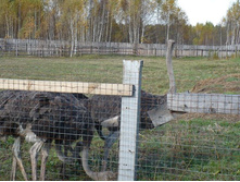 � ���������� �����...