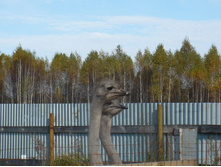 ��������� �������� ���� �� �����...