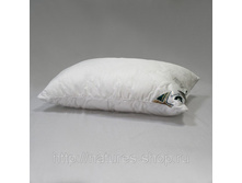 ������� ��������� ���� ������� �������� ����� �� ������.jpg