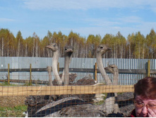 ����� ����� ��������... � ����� �� ���